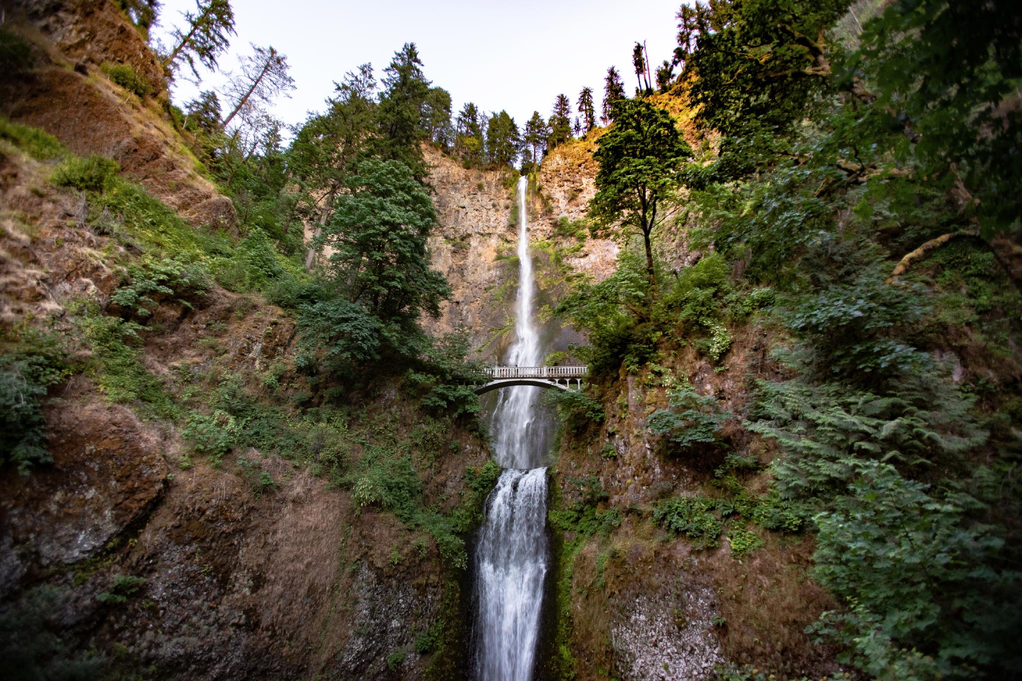 This Tour to Oregon's Tallest Waterfall Was Voted One of the Best Travel  Experiences in the U.S.