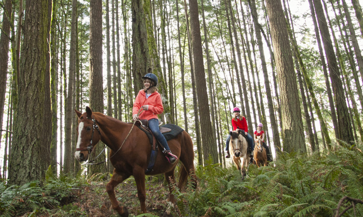 Horseback Riding near Portland The Official Guide to Portland