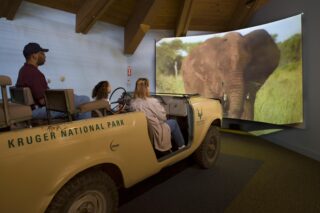 people watching a large screen showing an elephant