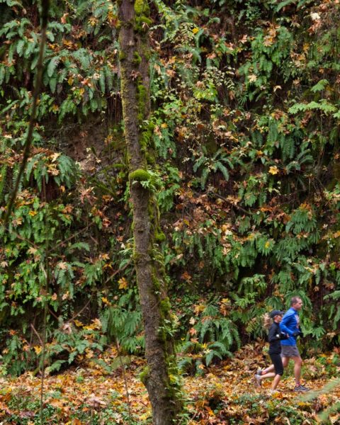 A couple jogs on one of Forest Park’s 70 miles of trails.